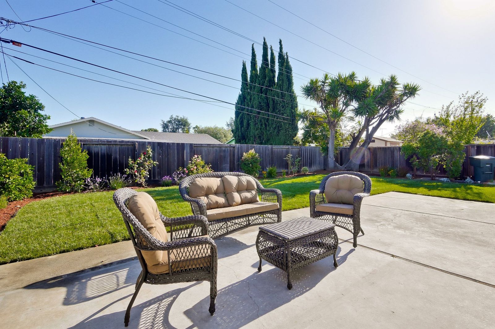 Backyard