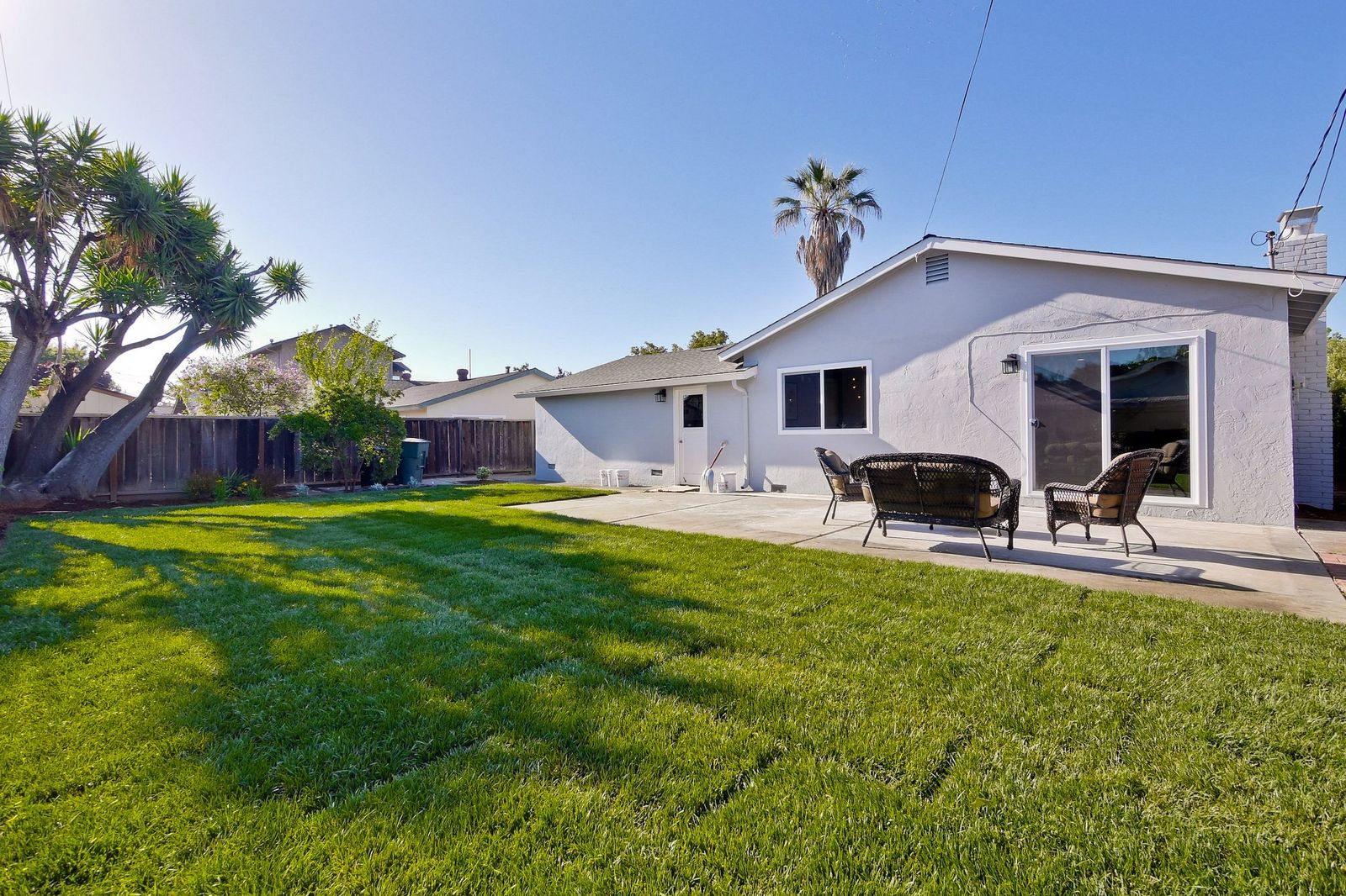 Backyard