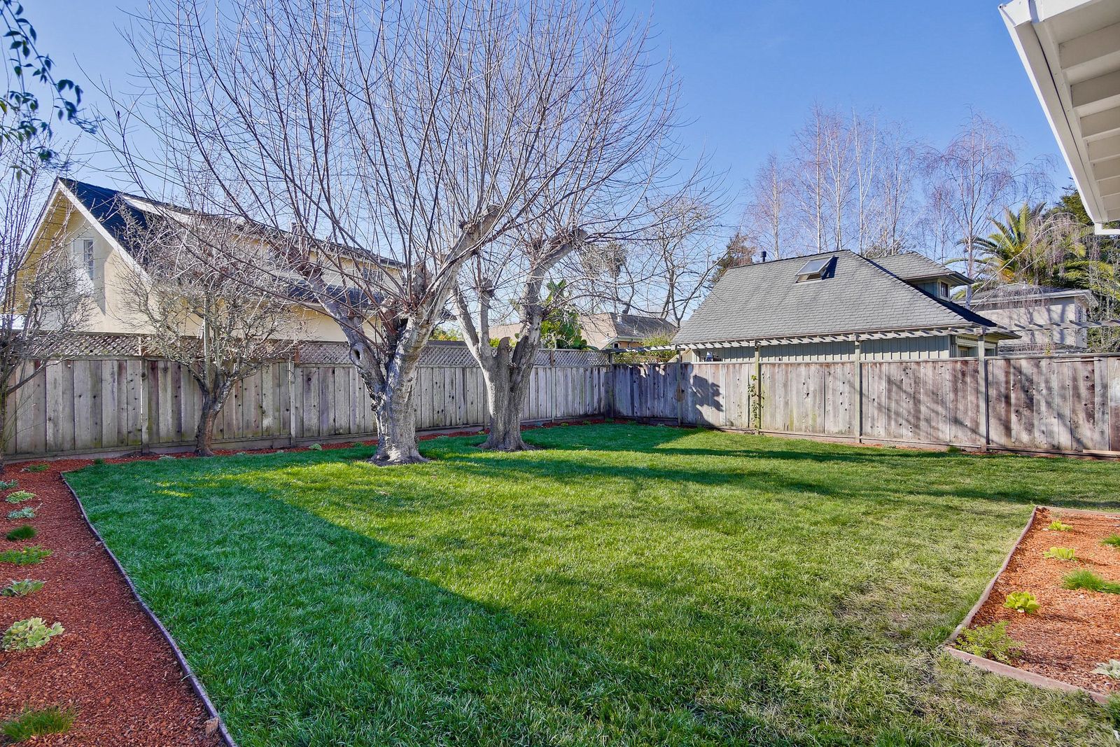 225 Plateau Avenue 052-30-Backyard